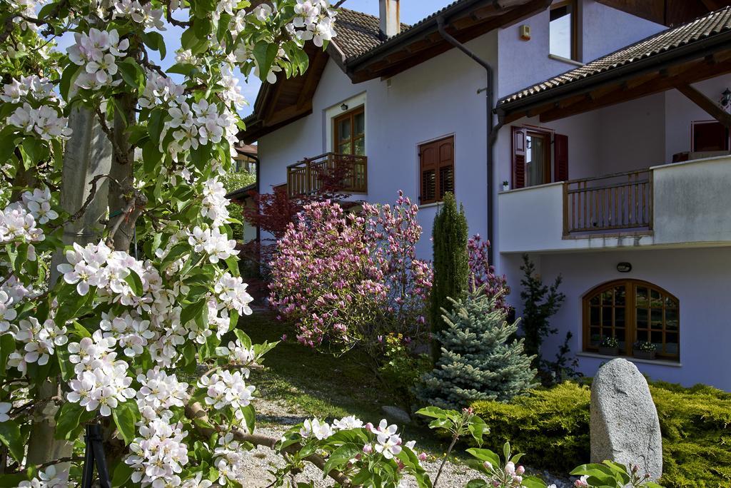 B&B La Casa Del Sole San Michele allʼAdige Dış mekan fotoğraf