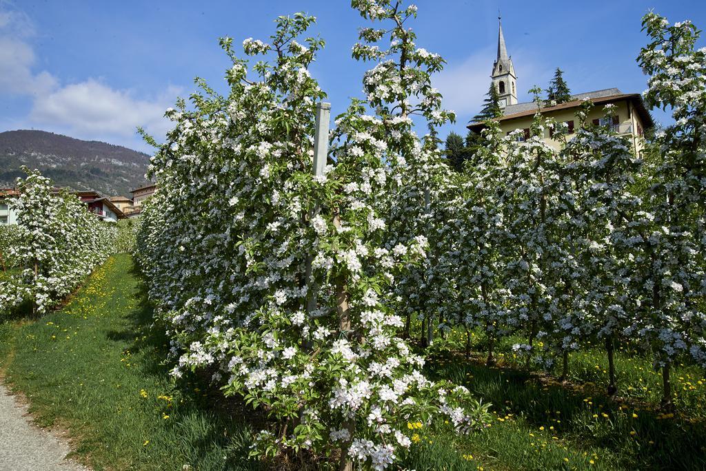 B&B La Casa Del Sole San Michele allʼAdige Dış mekan fotoğraf